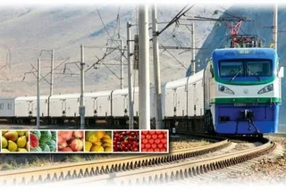 Uzbekistan is preparing to launch Agroexpress to supply fruits and vegetables to Belarus