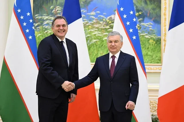 Uzbek President Meets French Transport Minister to Discuss Strategic Partnership