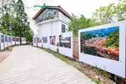 В Гуйчжоу открылись международная фотовыставка и сезон лэнд-арта