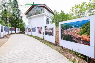 В Гуйчжоу открылись международная фотовыставка и сезон лэнд-арта