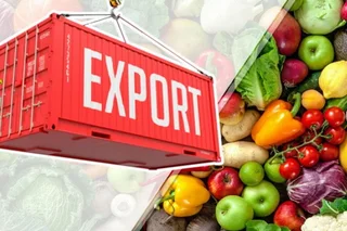 Экспорт плодоовощной продукции Республики Узбекистан за январь-сентябрь 2022 г.