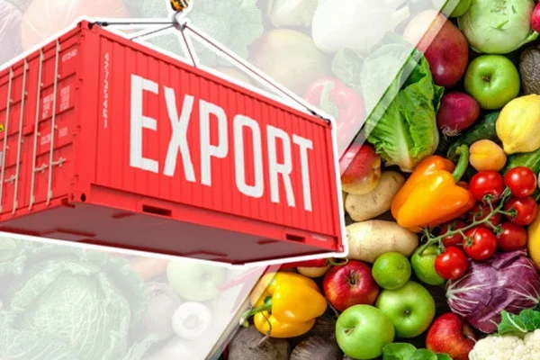 Which region is the leader in the export of fruits and vegetables?