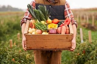 Uzbekistan to supply over 200,000 tons of agricultural products to Siberian Federal District of Russia