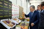 Президент ознакомился с работой Quva Agrostar