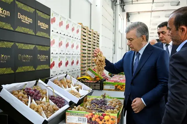 President Reviews Operations at Quva Agrostar Agro-Industrial Complex