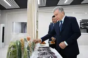 В Кашкадарье запустили завод по переработке овощей и фруктов