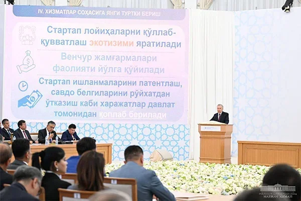 Regional Electricity Networks to be transferred to private sector