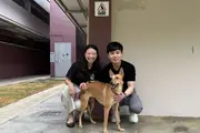 V Aesthetics Holdings Commits S$400,000 to Support Dogs in SOSD’s Care