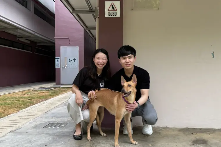 V Aesthetics Holdings Commits S$400,000 to Support Dogs in SOSD’s Care