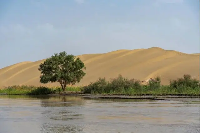 Turning deserts into fields of hope