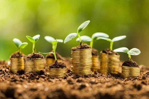 It is proposed to temporarily not levy a threefold tax from individuals for the use of land plots without documents