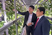 Узбекистан и Южная Корея расширяют аграрное сотрудничество