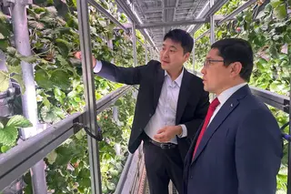 Uzbekistan, South Korea Expand Agricultural Cooperation