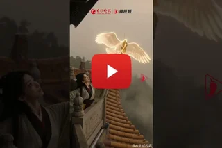 The Changsha Jiandu Museum launches its Digital Exhibition Hall, Allowing Visitors from All Over the World to Adopt Digital Collections with One Click