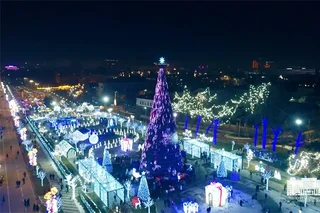 Тошкентда бош янги йил арчаси очилди