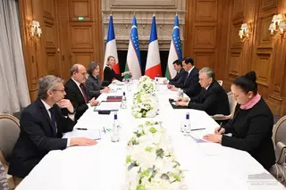 President of Uzbekistan and the head of AfD discuss the possibilities of enhancing multifaceted partnership