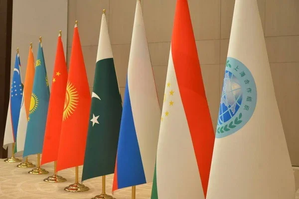 Tashkent to host Forum of Heads of SCO Regions