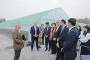 Пискент туманида KOICA кўмагида барпо этилган интеллектуал кўчатхоналар мажмуаси ишга туширилди