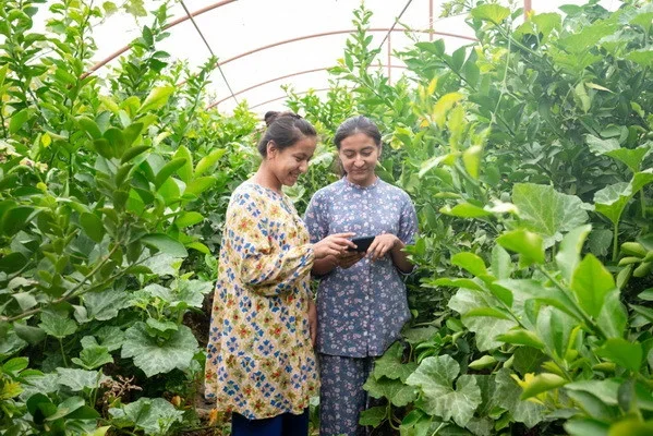 Uzbek village becomes digital