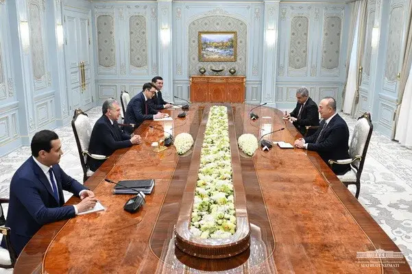 President of Uzbekistan calls for further enhancing multifaceted collaboration with Türkiye