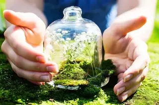 Certification is introduced for Plant Protection Specialists