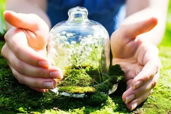 Certification is introduced for Plant Protection Specialists