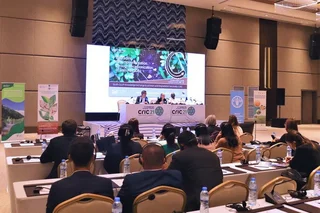 FAO provides insights at CRIC 21 on achieving land degradation neutrality