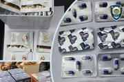 В Ташкентской области в подвале дома нашли лекарства на 400 млн. сумов