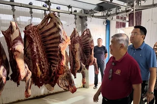 Малайзия изучает агрохимический и мясной сектор Узбекистана