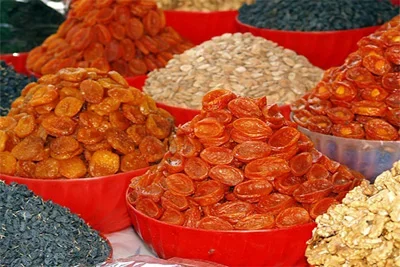Russian companies to implement two projects in Jizzakh SIZ