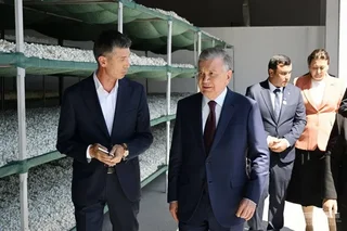 Президент ипакчилик корхонасини кўздан кечирди