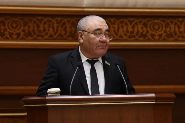 Усиливаются меры наказания за незаконную вырубку деревьев