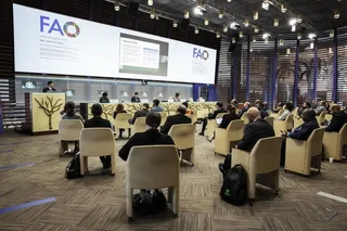 FAO’s Global Action on One Country One Priority Product (OCOP) project launched in Uzbekistan