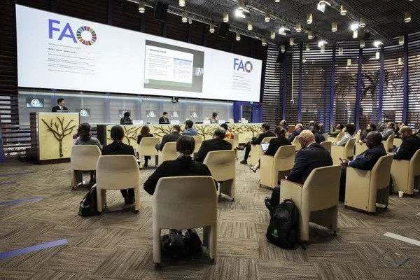 FAO’s Global Action on One Country One Priority Product (OCOP) project launched in Uzbekistan