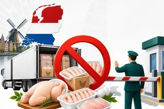 Узбекистан ограничил импорт продукции птицеводства Polskamp B.V.