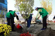 В Узбекистане объявлен двухмесячник по благоустройству
