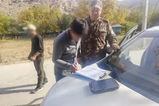 В Навоийской области оштрафовали двух жителей за сбор боярышника