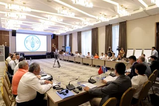 FAO is going to reduce food losses in Uzbekistan