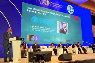 One Health Panel at WOAH Regional Conference in Samarkand Sets Strategic Path for Cross-Sectoral Health Collaboration