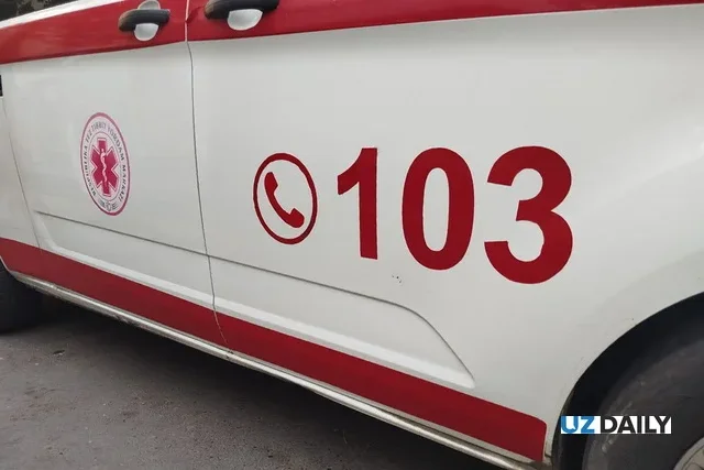 Almalyk Traffic Crash Kills Child, Another Hospitalized