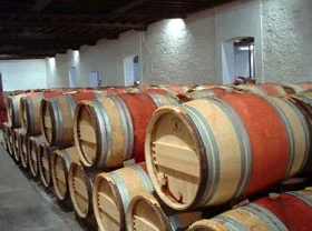 Uzbek wine-makers learn French experience  