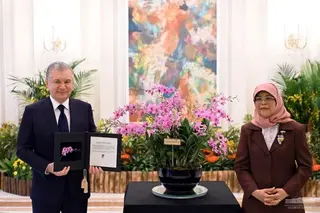 Orchid hybrid Encbi Purple and Kila Blue named after President of Uzbekistan