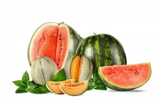 Uzbekistan exports melons and watermelons in the amount of 16.4 million US dollars