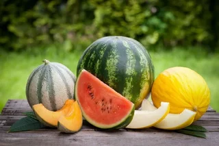 Uzbekistan exports melons and watermelons for US$33.2 million