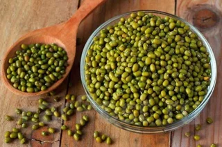 Uzbekistan exports mung beans to 23 countries in 8 months