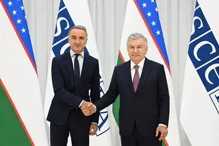 Mirziyoyev Discusses New Areas of Cooperation with OSCE PA Chief