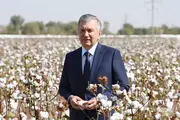 Шавкат Мирзиёев посетит Ташкентскую область