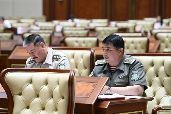 What other additional powers are granted to the National Guard by the Law considered in the plenary session of the Senate?