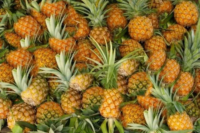 Ananas importi qariyb 2 barobarga oshgan
