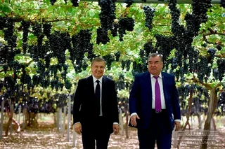 Президент Узбекистана подарил таджикским дехканам автомобили Captiva